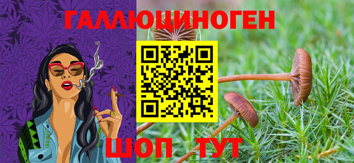 Галлюциногенные грибы Psilocybe Асбест